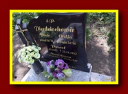 Kliknij aby powiększyć